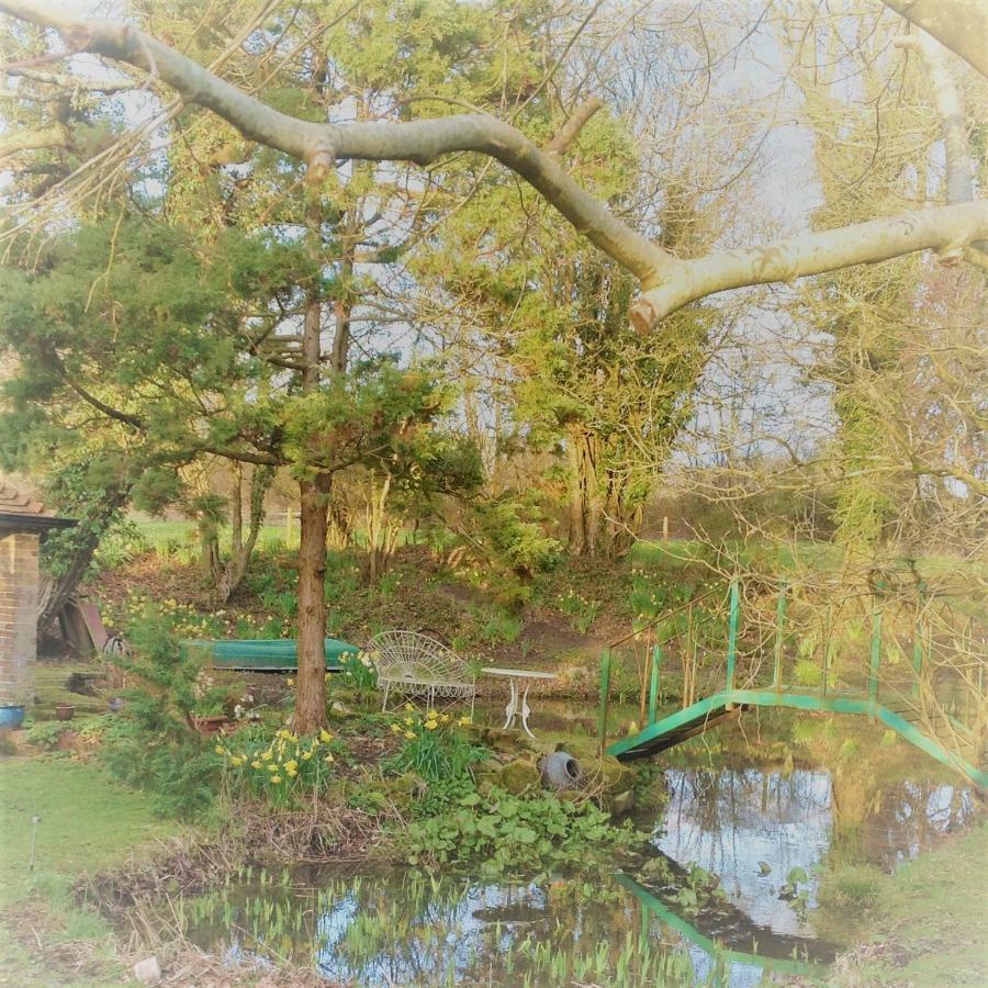 The Studio @ Great Streele Cottage Uckfield Bagian luar foto